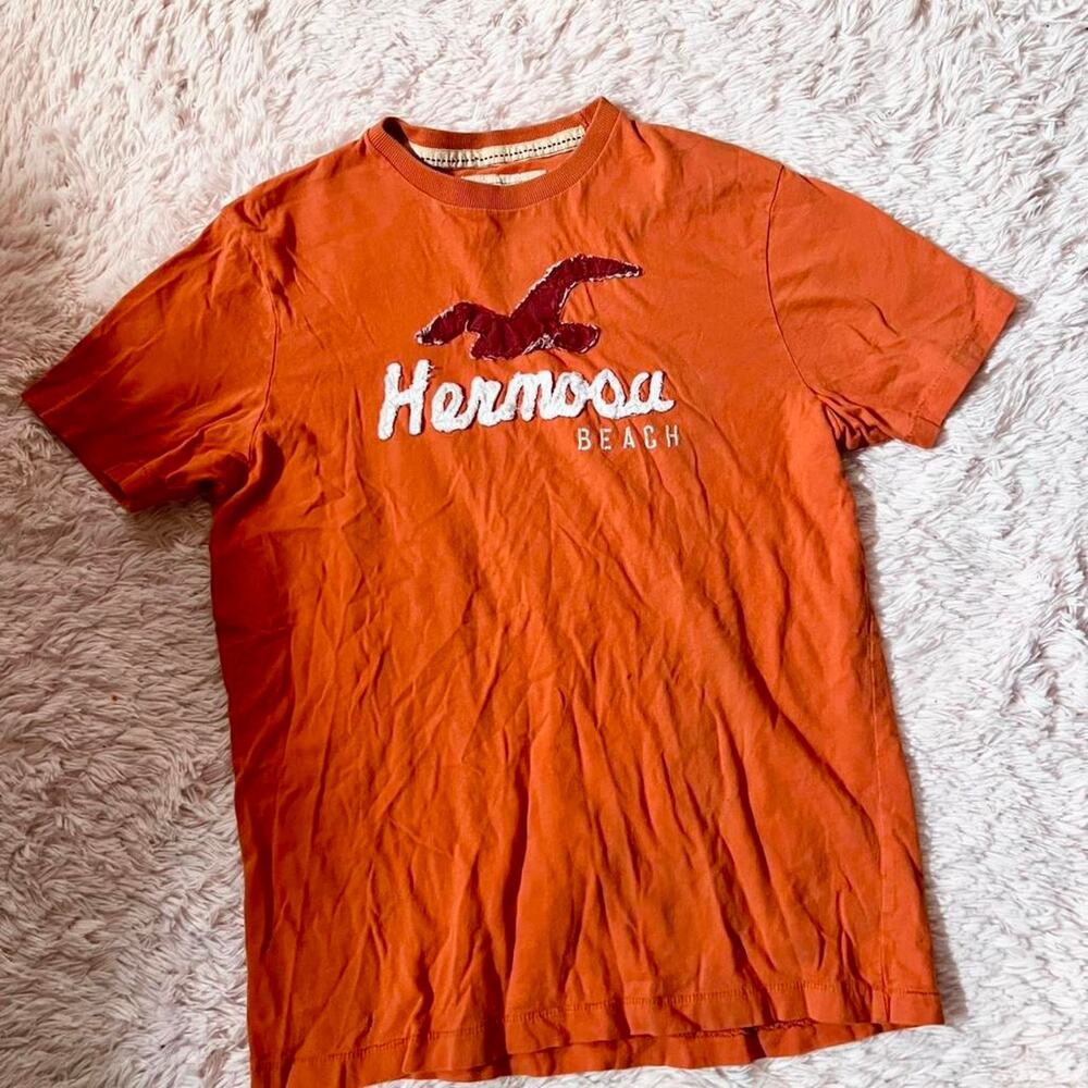 Vintage Hollister Men’s Y2K Beachy Preppy Indie California Coast Frat Boy Tshirt